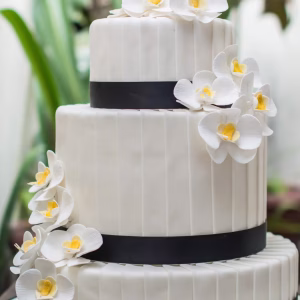 En Pastelería Ciro Creamos pasteles personalizados a tu medida, combinando diseño, sabor y detalle; completa el formulario, elige sabores, colores y detalles y lo hacemos realidad para tu celebración